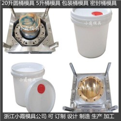 PET塑料模具乳胶桶模具